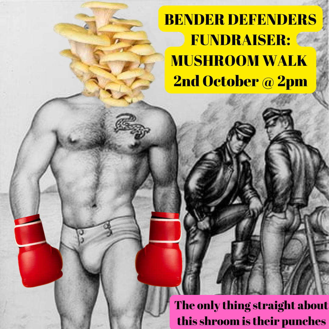 mushroom-walk-queer-as-funghi-x-bender-defenders-tickets-sunday-2nd-october-2022-online
