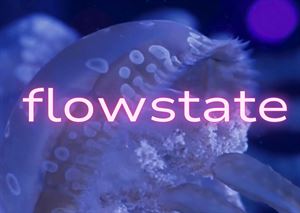 flowstate