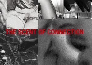 The Scent of Connection